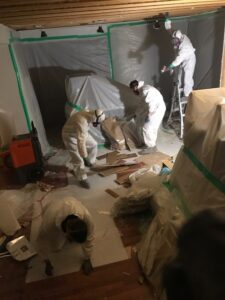 mold removal team at work